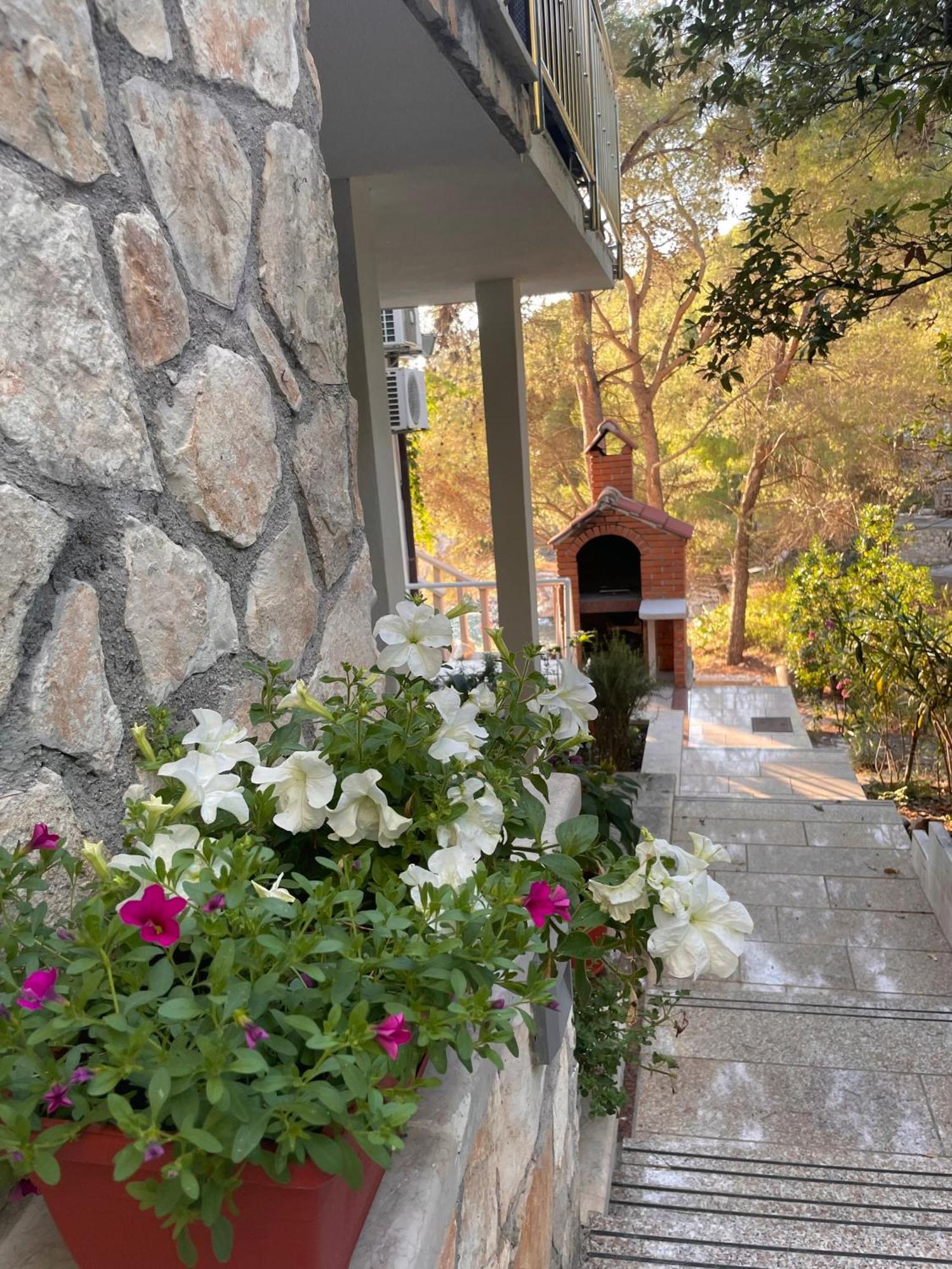 Villa Terra Nostra Hvar Hvar Town Zewnętrze zdjęcie