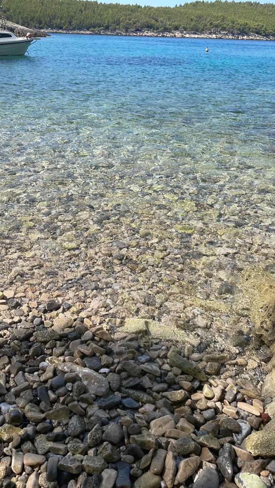 Villa Terra Nostra Hvar Hvar Town Zewnętrze zdjęcie
