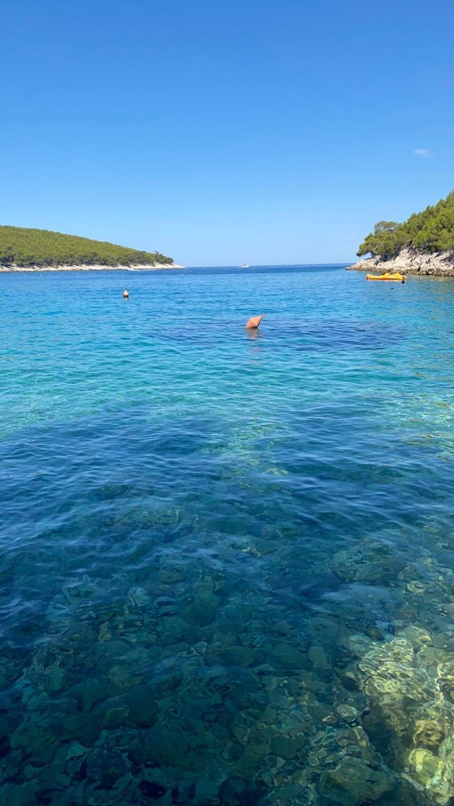 Villa Terra Nostra Hvar Hvar Town Zewnętrze zdjęcie