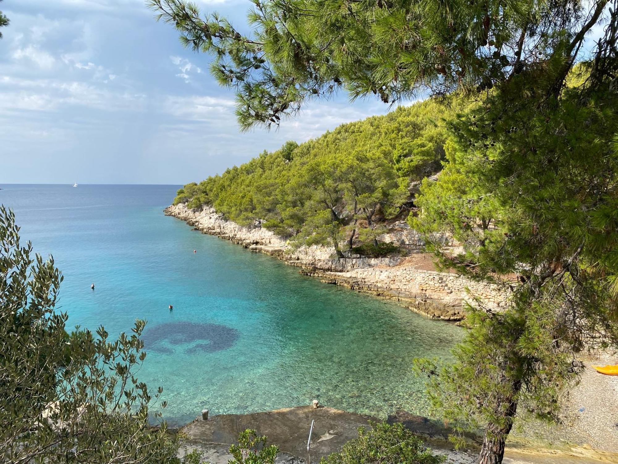 Villa Terra Nostra Hvar Hvar Town Zewnętrze zdjęcie